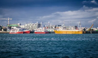 Bootsfahrten in Reykjavik